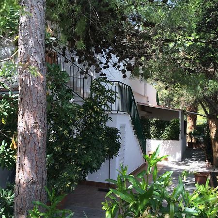 Villa Irene 비에스테 외부 사진