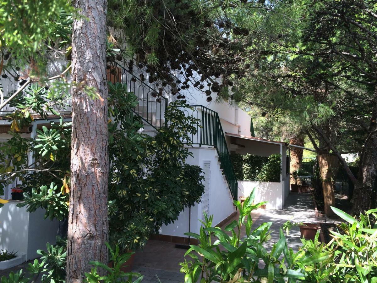 Villa Irene 비에스테 외부 사진